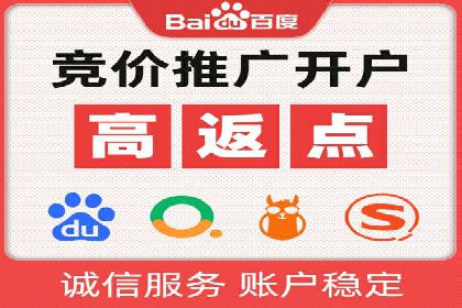 某品牌SEM推广策略的成效与启示